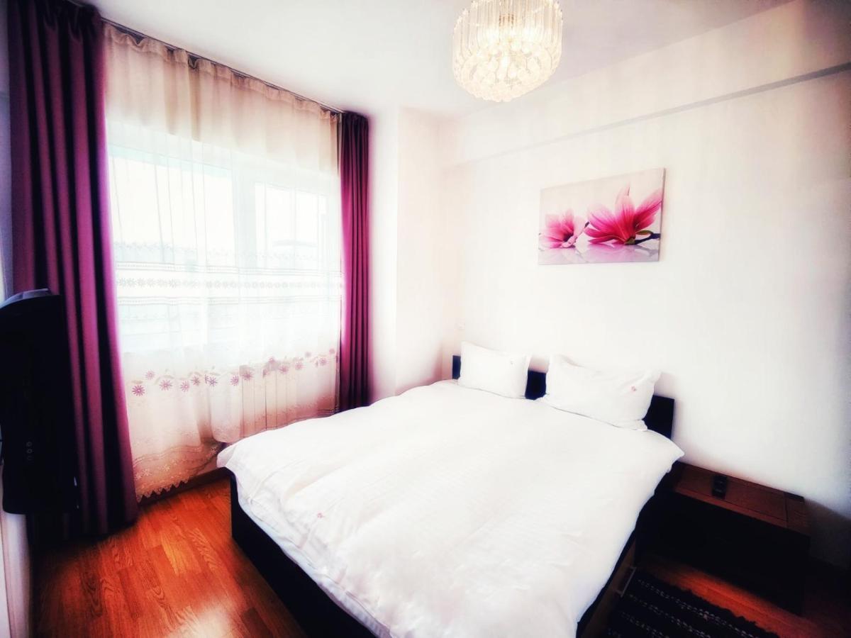 Business Apartments 클루지나포카 외부 사진